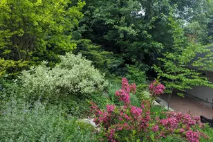 915 Willow Ln, Sleepy Hollow, IL 60118 - Photo 53