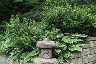 915 Willow Ln, Sleepy Hollow, IL 60118 - Photo 55