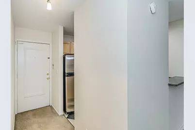 1919 Prairie Square #203, Schaumburg, IL 60173 - Photo 9