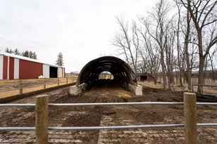 3651 N Brookeville Rd, Forreston, IL 61030 - Photo 31