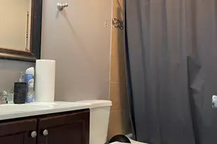 2011 Westview Ln, Round Lake Beach, IL 60073 - Photo 13