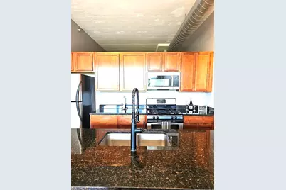 2323 W Pershing Road #230, Chicago, IL 60609 - Photo 11