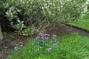 28360 Heritage Oak Rd, Barrington, IL 60010 - Photo 95