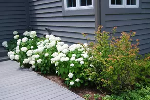 28360 Heritage Oak Rd, Barrington, IL 60010 - Photo 73