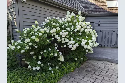 28360 Heritage Oak Road, Barrington, IL 60010 - Photo 85