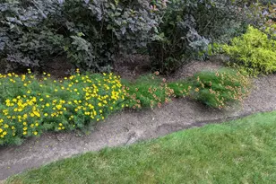 28360 Heritage Oak Rd, Barrington, IL 60010 - Photo 99