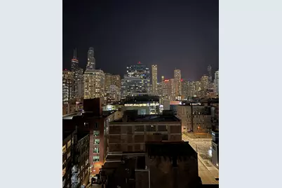 400 W Ontario Street #1204, Chicago, IL 60654 - Photo 25