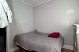 742 N Trumbull Ave, Chicago, IL 60624 - Photo 29