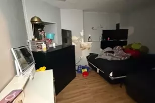 742 N Trumbull Ave, Chicago, IL 60624 - Photo 9