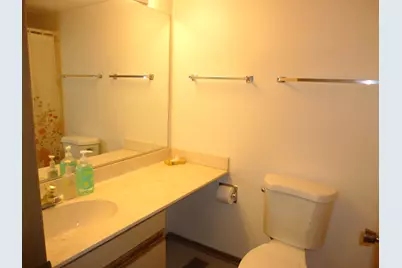 411 Drake Circle #411, Schaumburg, IL 60193 - Photo 15