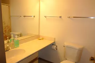 411 Drake Cir, Schaumburg, IL 60193 - Photo 15