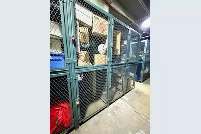 1255 N Sandburg Terrace #806, Chicago, IL 60610 - Photo 25