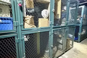 1255 N Sandburg Terrace, Chicago, IL 60610 - Photo 25