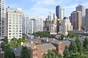 1255 N Sandburg Terrace, Chicago, IL 60610 - Photo 17