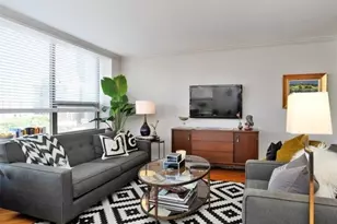 1255 N Sandburg Terrace, Chicago, IL 60610 - Photo 13