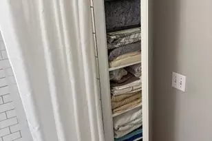 1255 N Sandburg Terrace, Chicago, IL 60610 - Photo 11