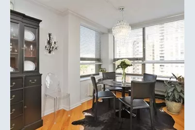 1255 N Sandburg Terrace #806, Chicago, IL 60610 - Photo 15