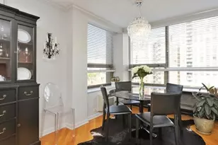 1255 N Sandburg Terrace, Chicago, IL 60610 - Photo 15