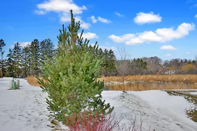 2 Potter Court, Hawthorn Woods, IL 60047 - Photo 37