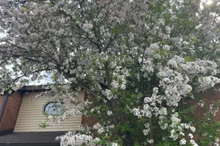 33561 N Royal Oak Ln, Grayslake, IL 60030 - Photo 21