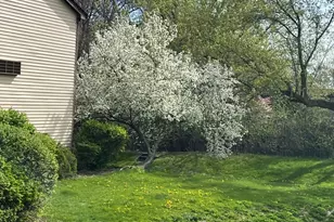 33561 N Royal Oak Ln, Grayslake, IL 60030 - Photo 19