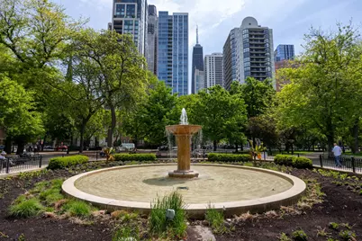 1140 N La Salle Drive #729, Chicago, IL 60610 - Photo 35