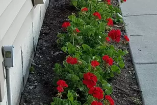 12027 Lisbon Rd, Newark, IL 60541 - Photo 29