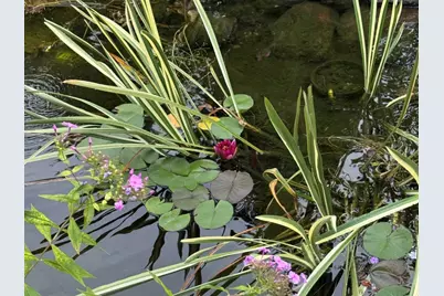 5304 Floralwood Court, Plainfield, IL 60586 - Photo 27