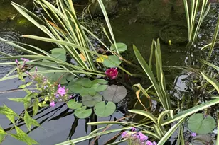 5304 Floralwood Ct, Plainfield, IL 60586 - Photo 27