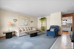 216 S Evergreen Ave, Addison, IL 60101 - Photo 11