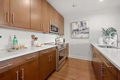 850 N Lake Shore Drive #1605, Chicago, IL 60611 - Photo 17