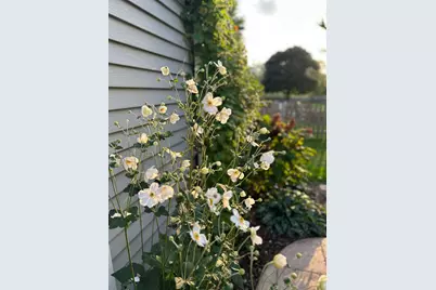 39W578 Newton Square, Geneva, IL 60134 - Photo 37