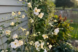 39W578 Newton Square, Geneva, IL 60134 - Photo 37