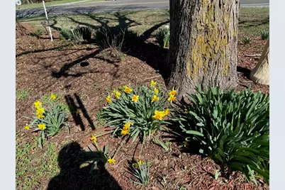 10915 Union Ridge Lane, Marion, IL 62959 - Photo 7