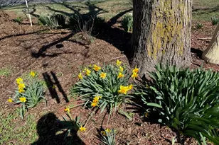 10915 Union Ridge Ln, Marion, IL 62959 - Photo 7