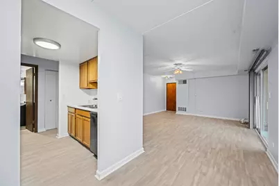 810 N River Road #1C, Mount Prospect, IL 60056 - Photo 5