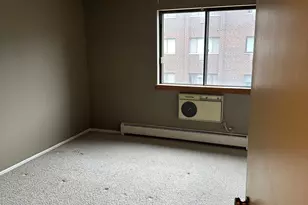 4623 N Chester Ave, Chicago, IL 60656 - Photo 11