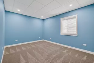 3425 Country Club Ln, Morris, IL 60450 - Photo 49