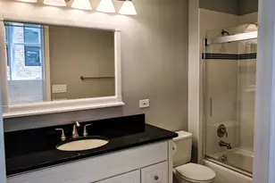 312 N May St, Chicago, IL 60607 - Photo 11