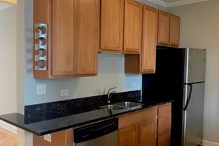 1619 W Wallen Ave, Chicago, IL 60626 - Photo 7