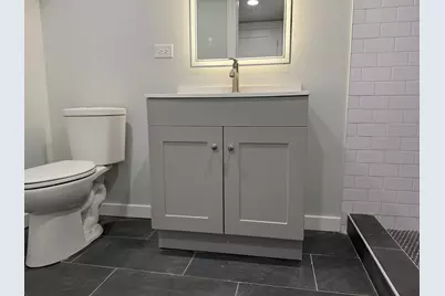 8631 S Constance Avenue, Chicago, IL 60617 - Photo 29