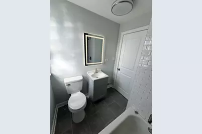 8631 S Constance Avenue, Chicago, IL 60617 - Photo 53