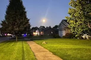 801 Phyllis Dr, Wilmington, IL 60481 - Photo 29