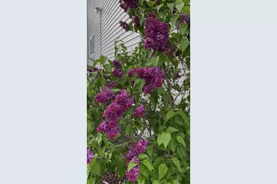 8021 Harrier Avenue, Joliet, IL 60431 - Photo 27