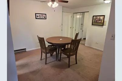 6800 W Raven Street #205, Chicago, IL 60631 - Photo 5