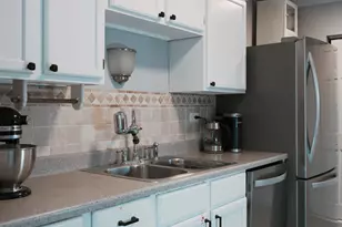 2515 E Olive St, Arlington Heights, IL 60004 - Photo 15