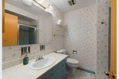 910 S Robert Drive, Mount Prospect, IL 60056 - Photo 15