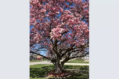 2039 Scott Street, Melrose Park, IL 60164 - Photo 17