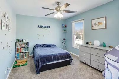 20116 S Greenfield Lane, Frankfort, IL 60423 - Photo 15