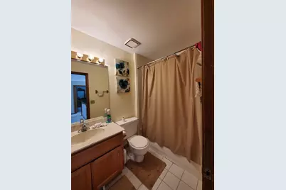 5620 Feathercreek Road, Matteson, IL 60443 - Photo 17